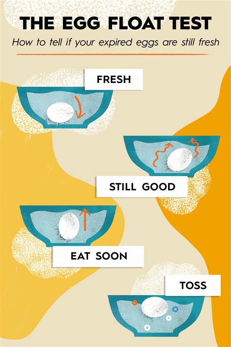 Float it: Try the float test, suggests Blatner. "As an egg ages, moisture leaves through the shell and air comes in," she says. To test how old your egg is, lower it (uncracked) into a bowl of ...